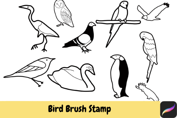 Bring Your Art to Life: Bird Brush Stamps for Procreate iPad